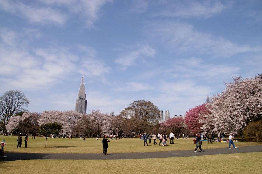 新宿御苑